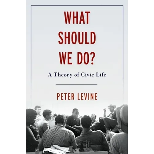 What Should We Do?: A Theory of Civic Life