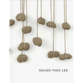 Seung-Taek Lee