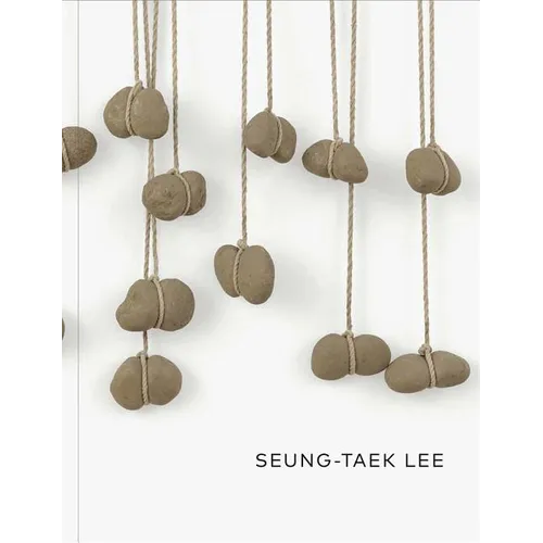 Seung-Taek Lee