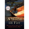 A World on Fire: Britain's Crucial Role in the American Civil War