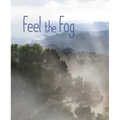 Feel the Fog