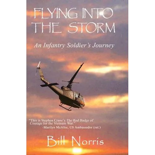 Flying Into The Storm