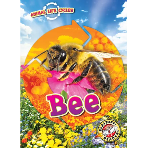 Animal Life Cycles: Bee