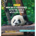 Making a Difference with the World Wildlife Fund