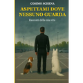 Aspettami dove nessuno guarda