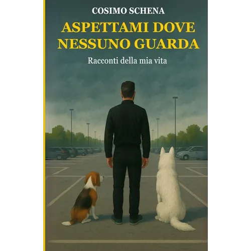 Aspettami dove nessuno guarda