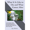 What It Is Like to Die and What Comes After: Conversations with Deceased People Who Describe What Happened After They Died