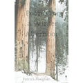 Poems for a Winter Afternoon