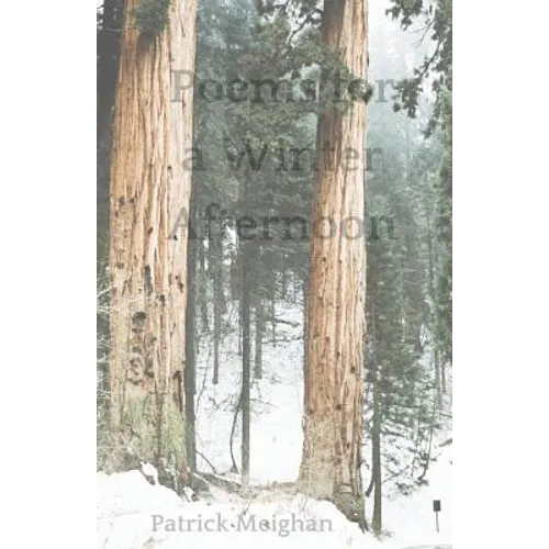 Poems for a Winter Afternoon