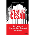 Operation Cesar