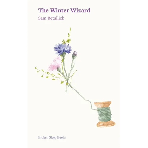 The Winter Wizard - Paperback
