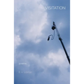Visitation: poems