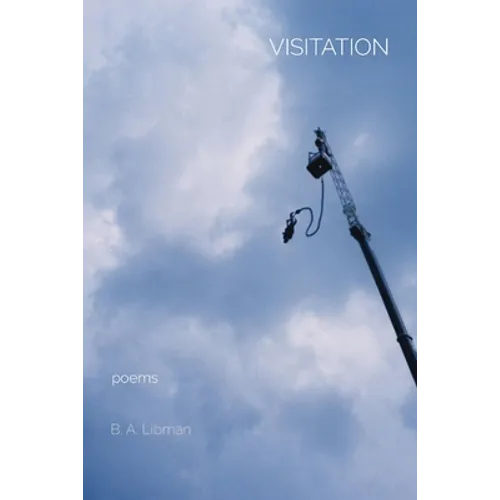Visitation: poems