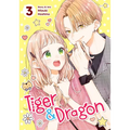 Tiger and Dragon Vol. 3