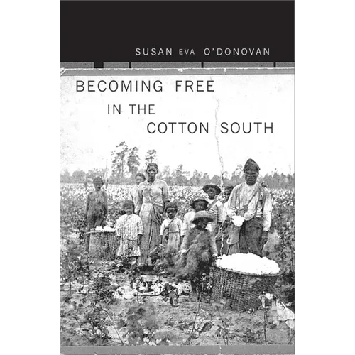 Becoming Free in the Cotton South