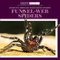 Funnel-Web Spiders