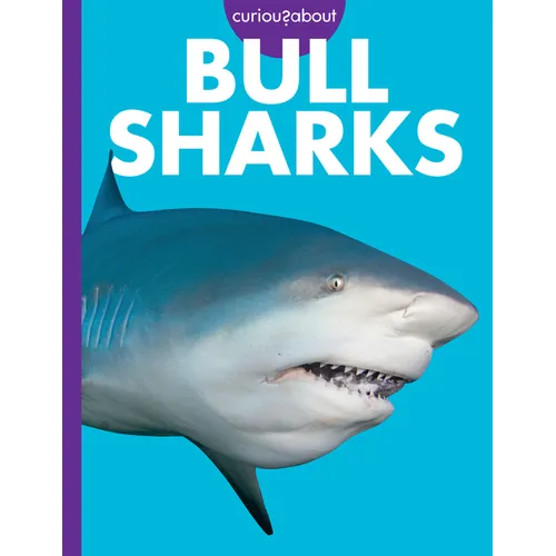 Curious about Bull Sharks