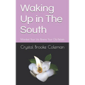 Waking up in the South: Manifest Your Life. Rewire Your Old Beliefs