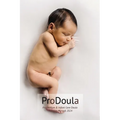 Postpartum & Infant Care Doula WorkBook 2024