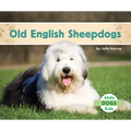 Old English Sheepdogs