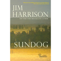 Sundog
