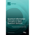 Quantum Information Concepts in Open Quantum Systems