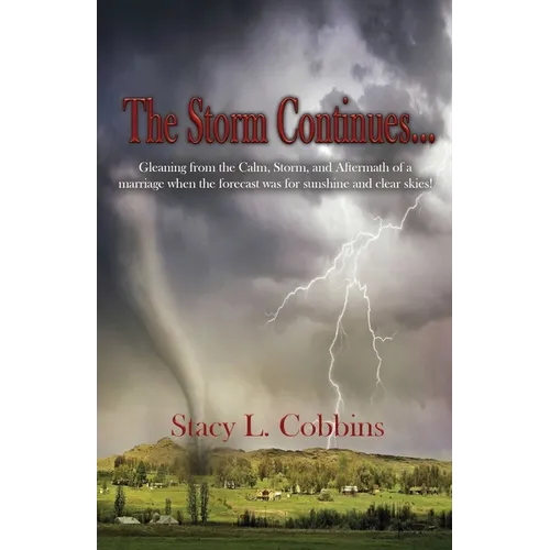 The Storm Continues...: Gleaning from the Calm, Storm, and Aftermath of a marriage when the forecast was for sunshine and clear skies!