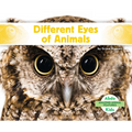 Different Eyes of Animals