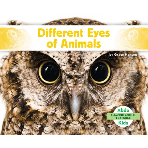 Different Eyes of Animals