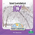 Today's Weather Is Icy