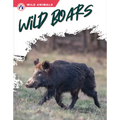 Wild Boars