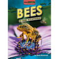 Bees in Their Ecosystems