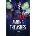 Among The Ashes
