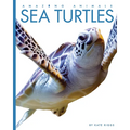Sea Turtles