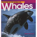 Welcome to the World of Whales