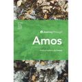 Journey Through Amos: 30 Biblical Insights by J.R. Hudberg