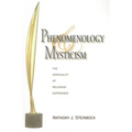 Phenomenology and Mysticism: The Verticality of Religious Experience