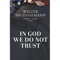 In God We Do Not Trust: The Ten Commandments of MAGA and other essays