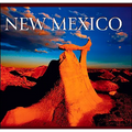 New Mexico