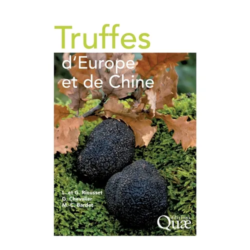 Truffes d'Europe et de Chine