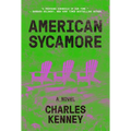 American Sycamore