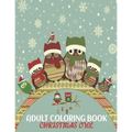 Adult Coloring Book Christmas Owl: coloring book perfect gift idea for Christmas owl lover men, women, girls, boys, family and friends.