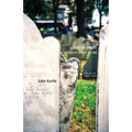 like an angel dead in your arms: early poems 1995-1999