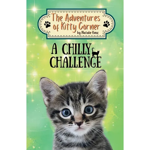 A Chilly Challenge: The Adventures of Kitty Corner Book 5