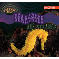 Seahorses Are Strange