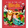 Birds (a Day in the Life): What Do Flamingos, Owls, and Penguins Get Up to All Day?