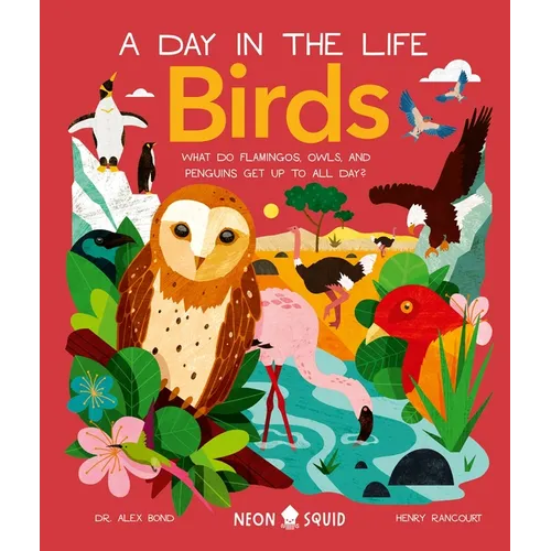 Birds (a Day in the Life): What Do Flamingos, Owls, and Penguins Get Up to All Day?