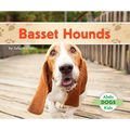 Basset Hounds