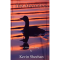 The Aberration