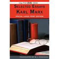 Selected Essays (Large Print Edition)